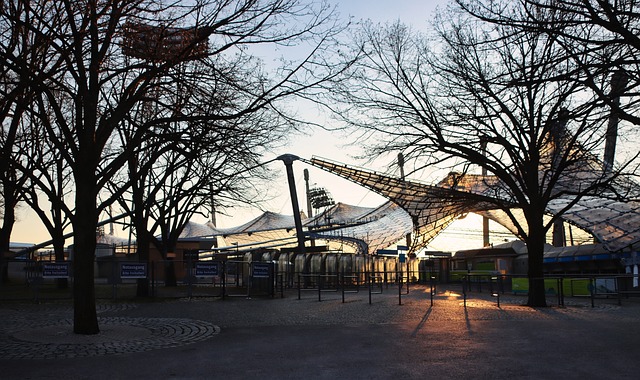 替补阵容击 替补阵容击