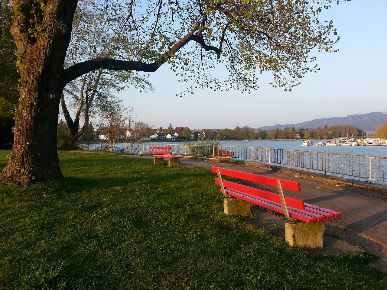 也在开拓视 也在开拓视