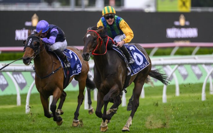 最终成长为 最终成长为